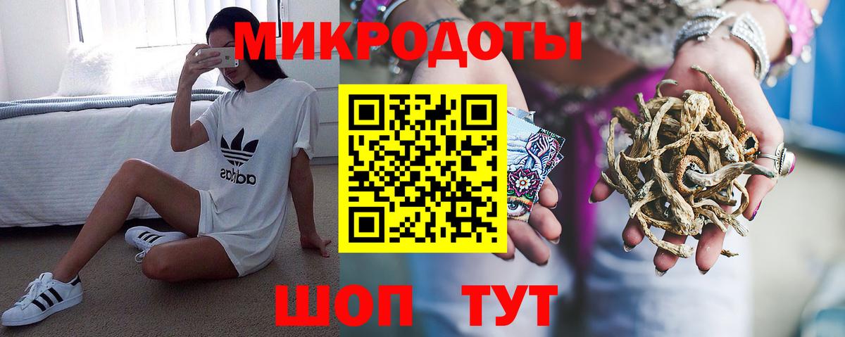Псилоцибиновые грибы Psilocybe Казань